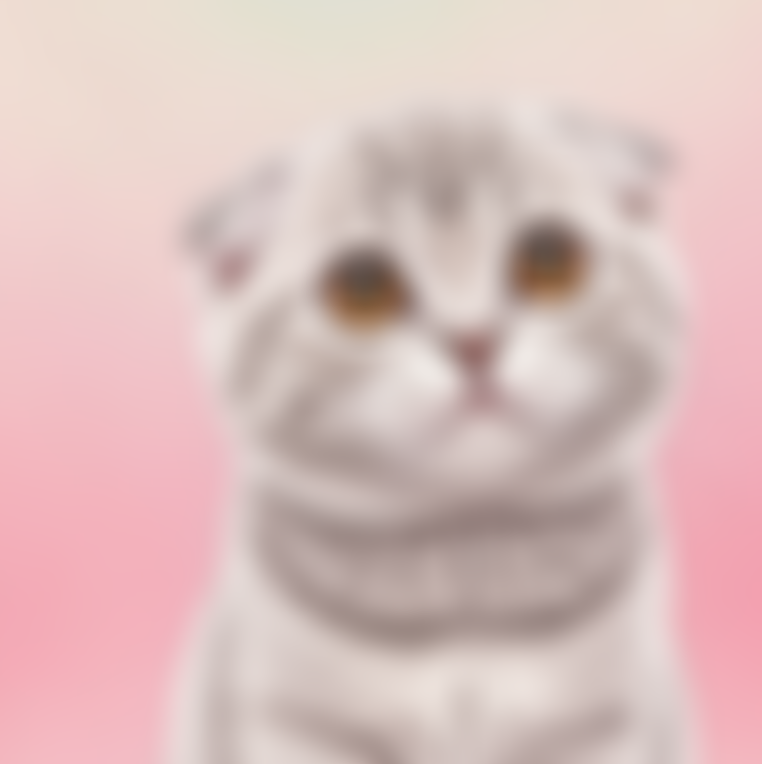 น้องเหมียว